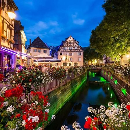 Au Petit Bonheur Charmant Gite Colmar Horbourg Exterior photo