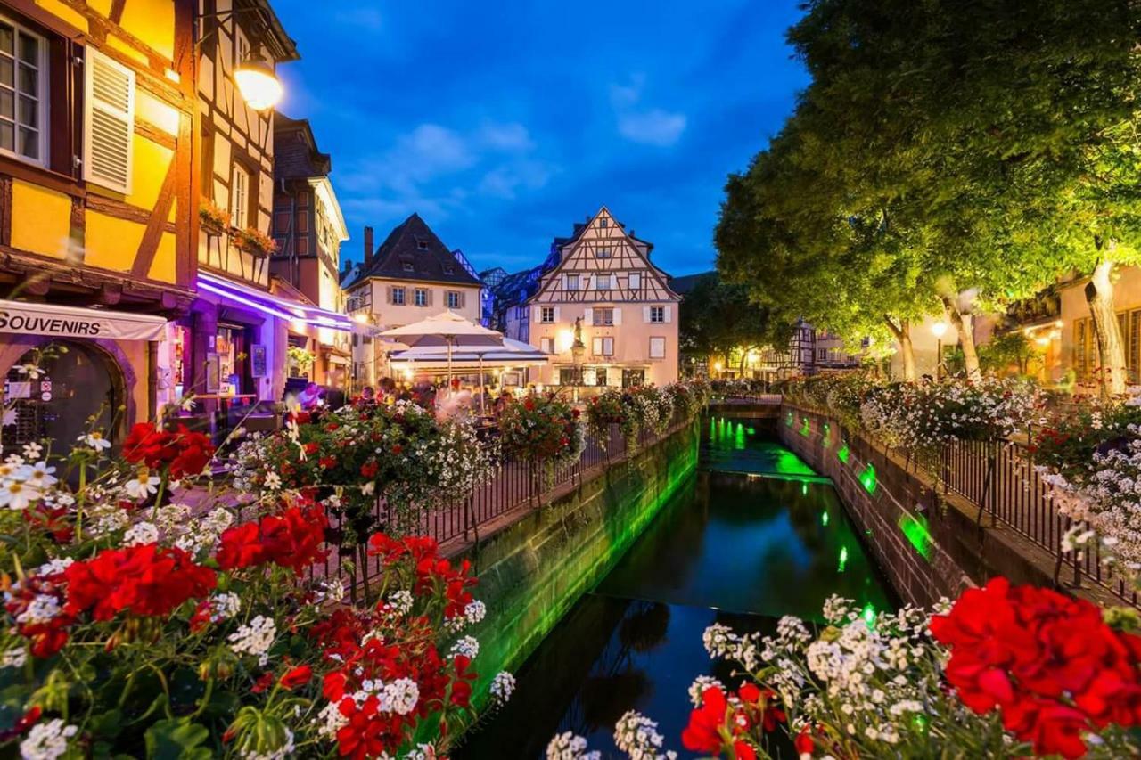 Au Petit Bonheur Charmant Gite Colmar Horbourg Exterior photo